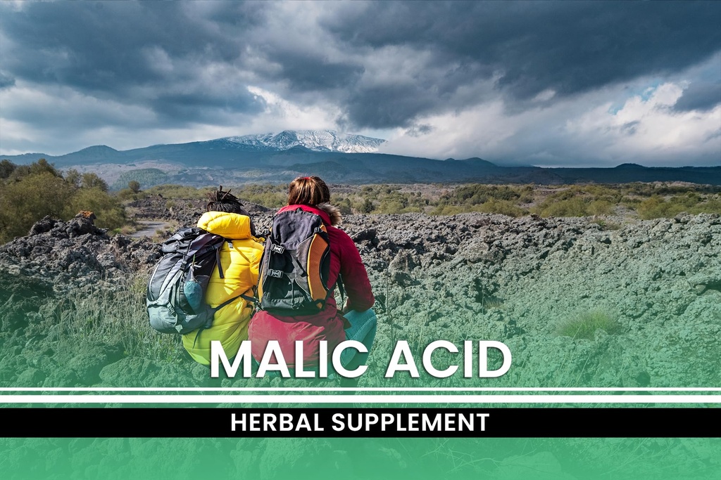 pure-original-ingredients-malic-acid-365-4.jpg