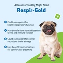 pet-wellbeing-respir-gold-for-dogs---sup-3.jpg