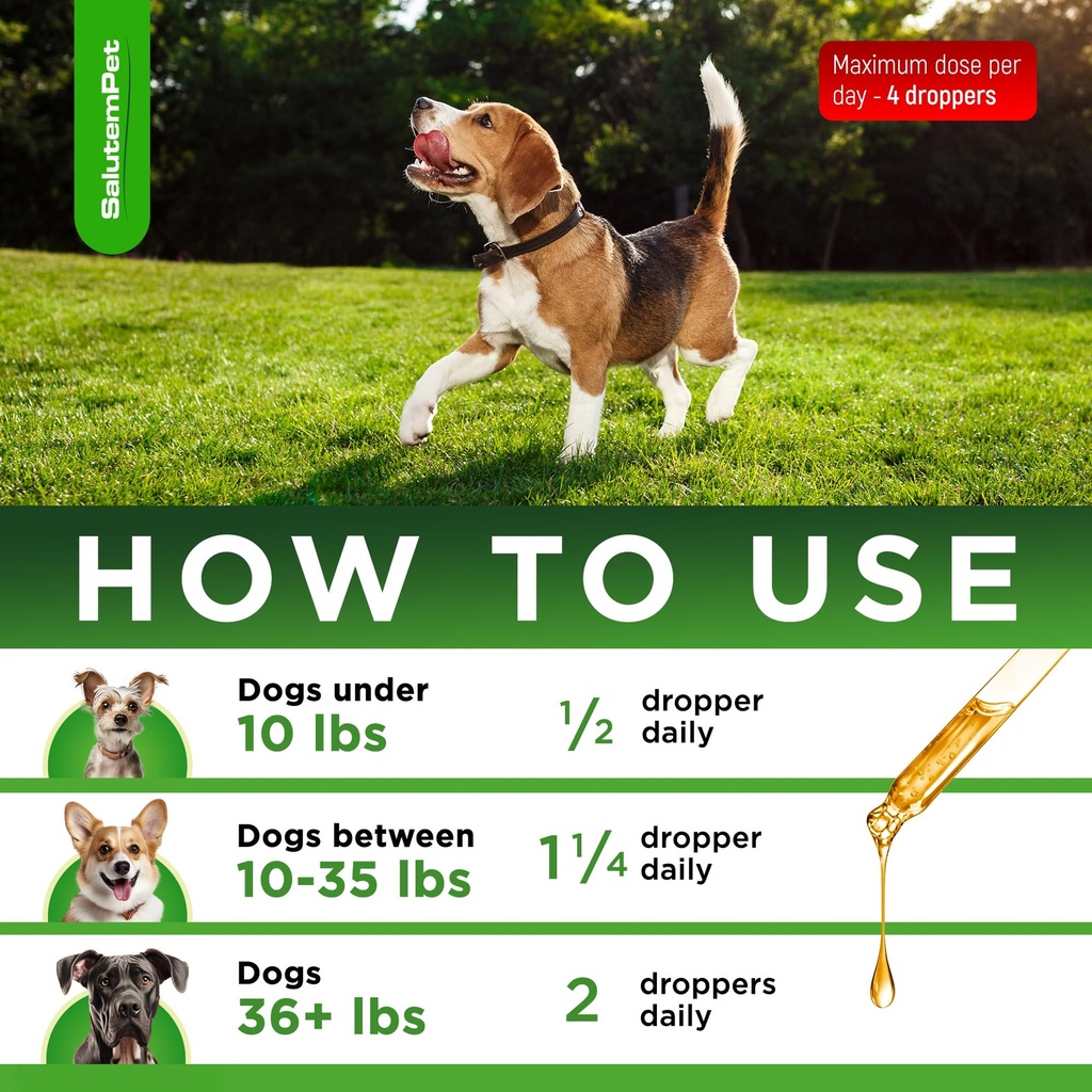 natural-antibiotics-for-dogs-and-puppies-4.jpg