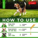 natural-antibiotics-for-dogs-and-puppies-4.jpg