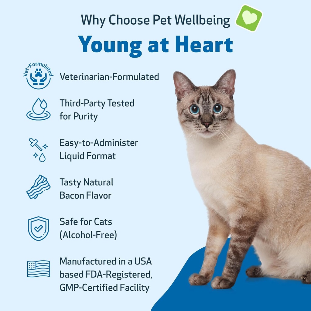 pet-wellbeing-young-at-heart-for-cats----2.jpg