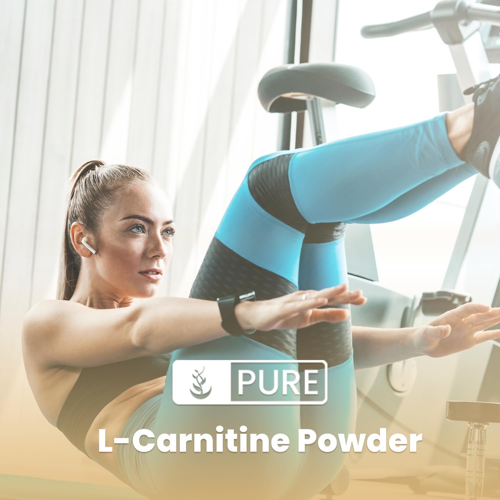 pure-originial-ingredients-l-carnitine-p-3.jpg