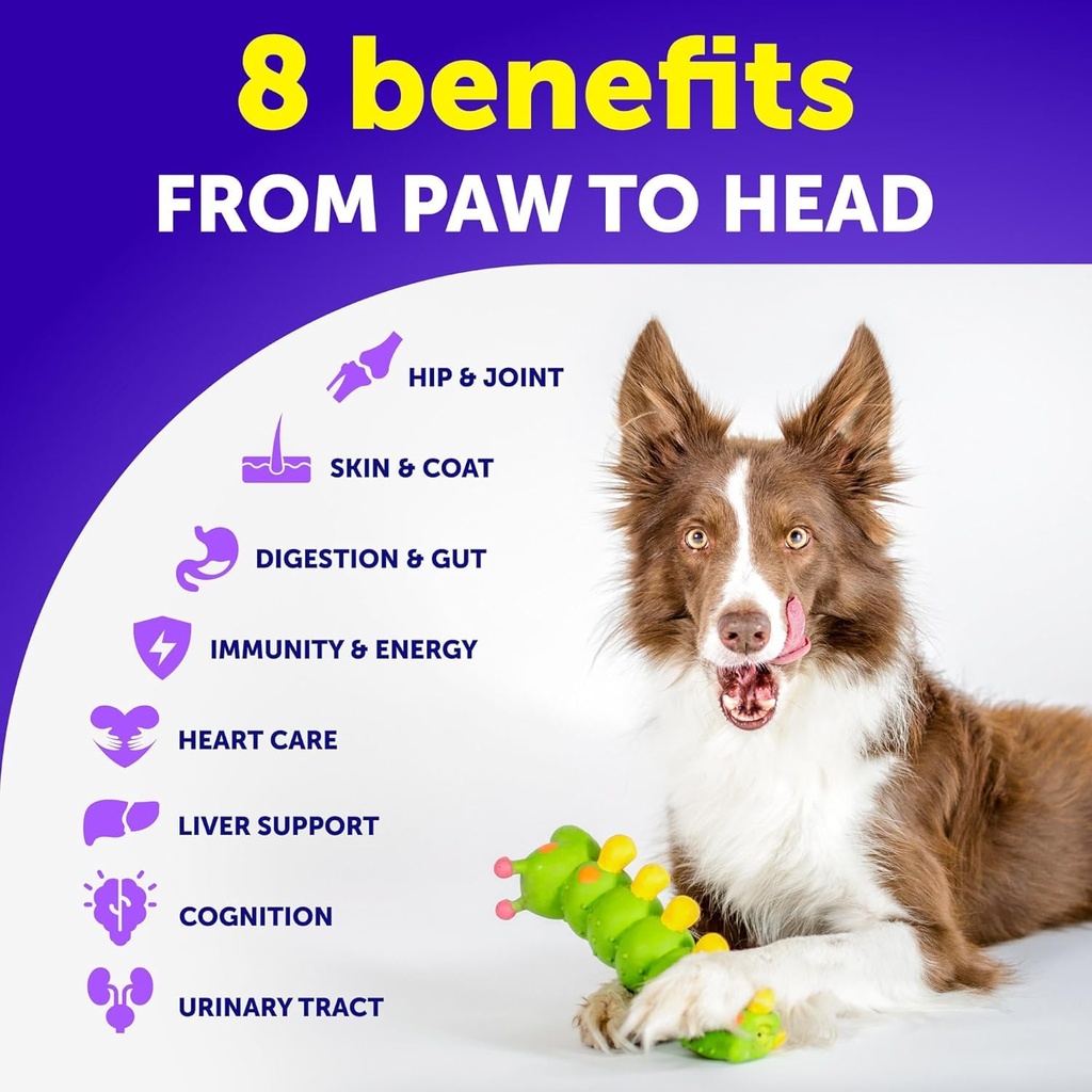 dog-multivitamin-chewable-with-glucosami-3.jpg