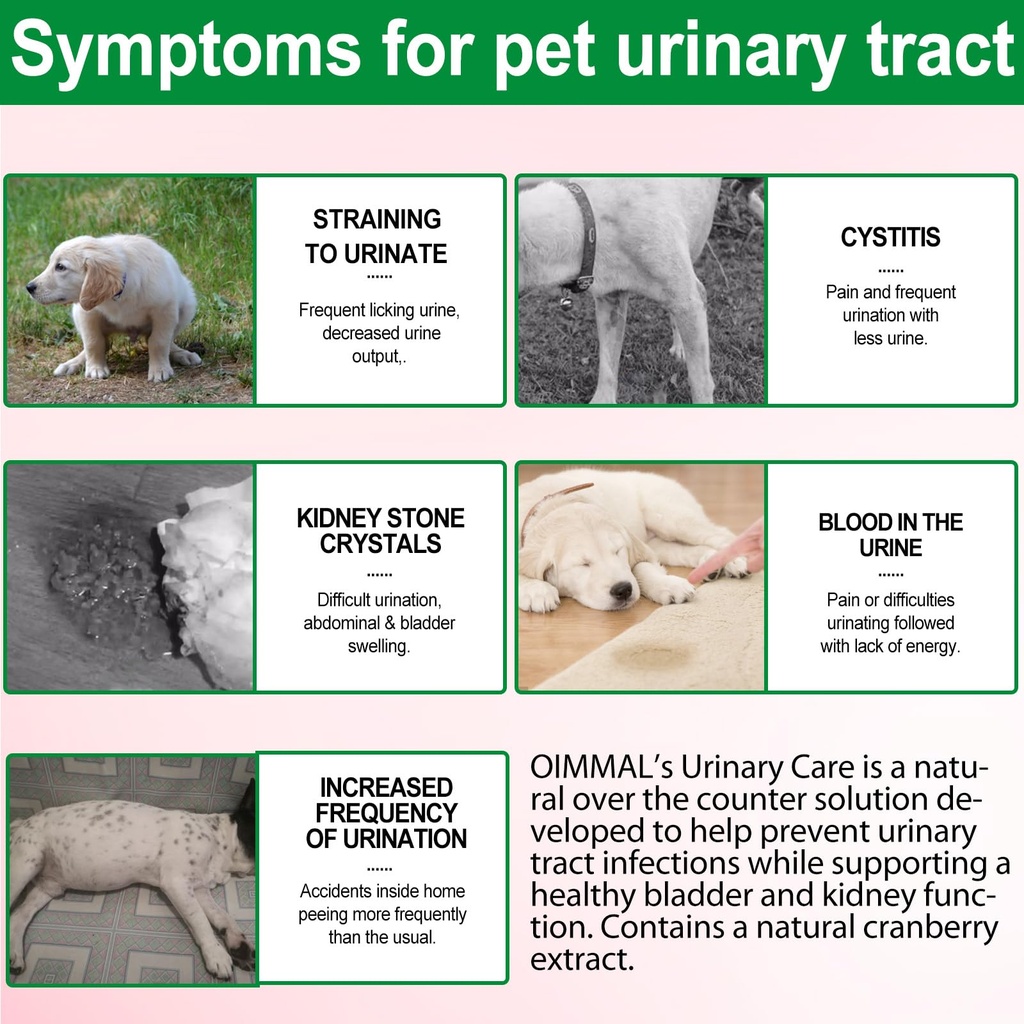 urinary-tract-for-dogs-dog-urinary-tract-3.jpg