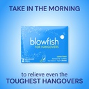 blowfish-complete-recovery-system-mornin-4.jpg