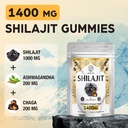 1400-mg-shilajit-60-gummies-with-1000-mg-3.jpg