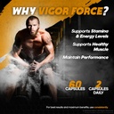 nutrarize-pack-of-2-vigor-force-for-men--5.jpg