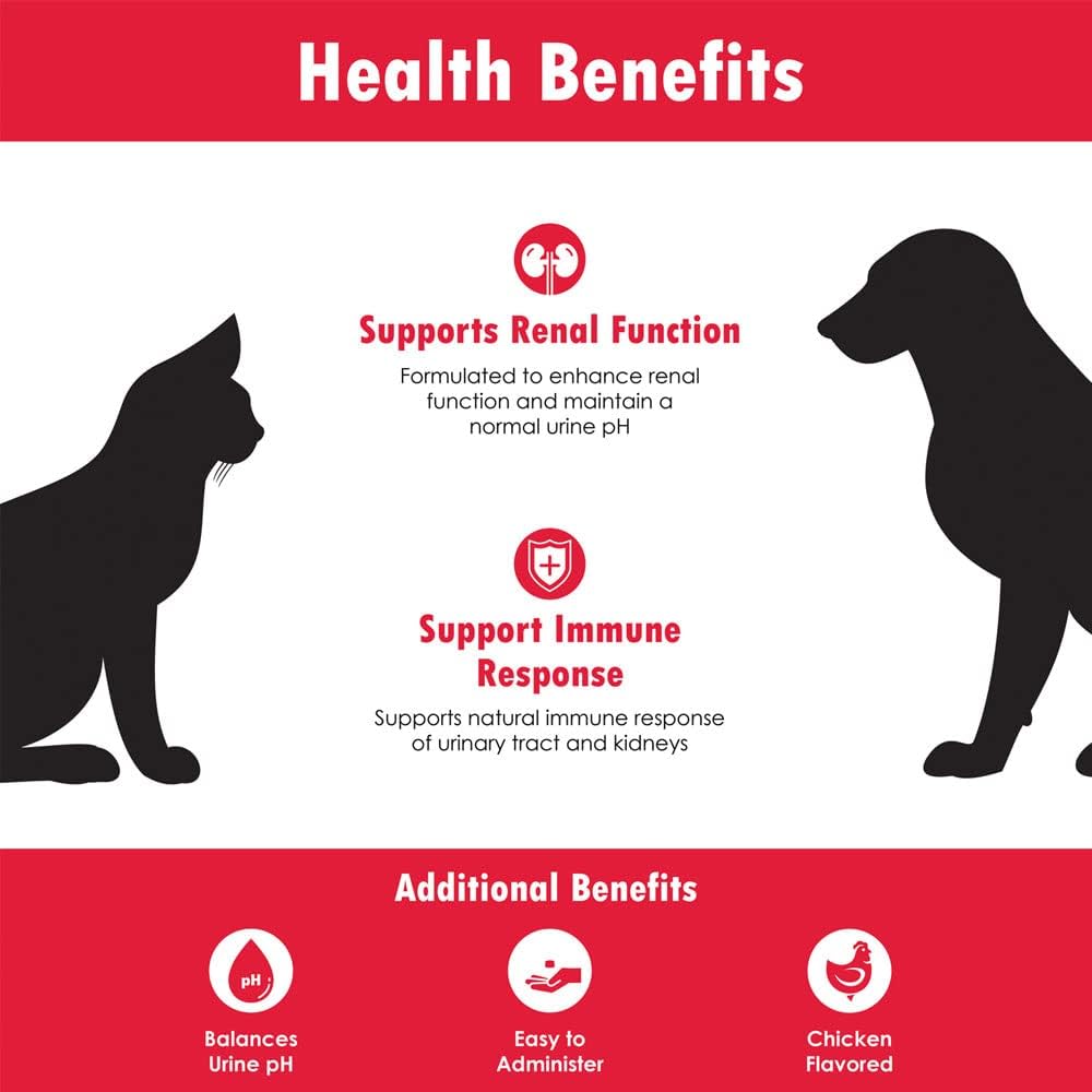 renakitin-kidney-supplements-for-dogs-ca-6.jpg