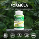best-naturals-astragalus-capsule-1000-mg-5.jpg