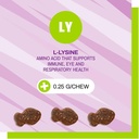 pet-naturals-lysine-for-cats-chicken-fla-5.jpg