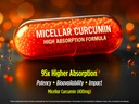 biotest-micellar-curcumin-95x-greater-ab-4.jpg