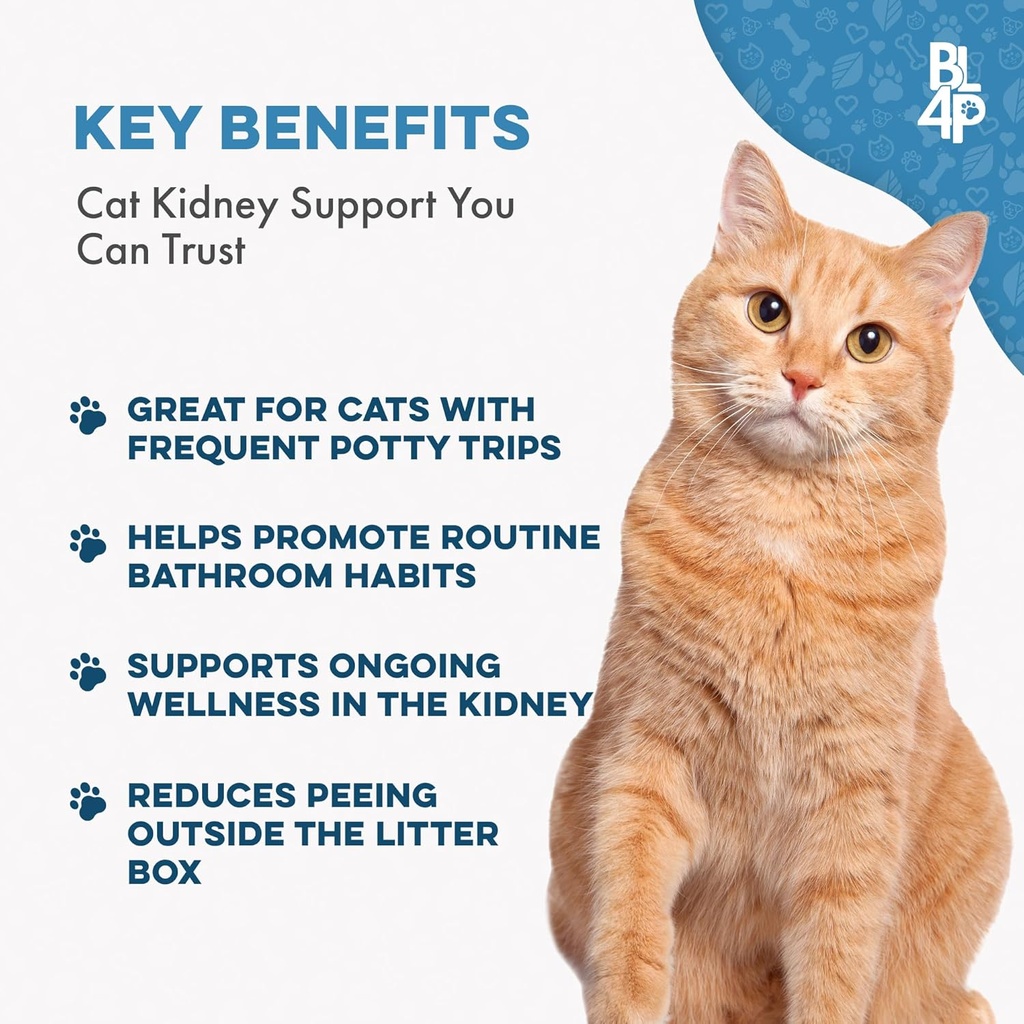 cat-uti-remedy-kidney-support-for-cats-n-3.jpg