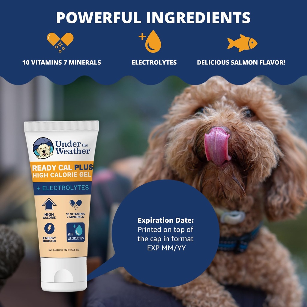 under-the-weather-pet-electrolytes-ready-3.jpg