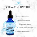 absonutrix-echinacea-tincture-advanced-f-5.jpg