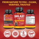 shilajit-himalayan-supplement-for-men-wo-6.jpg