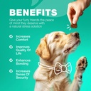 no-poo-chewables-for-dogs---enzymes-dog--6.jpg