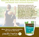 natural-immune-booster-herb-extract-4.jpg