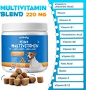15-in-1-dog-multivitamin-supplements---d-3.jpg