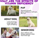 15-in-1-dog-multivitamin-drops-for-dogs--4.jpg