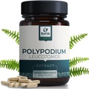 polypodium-leucotomos-extract-101-240-mg-2.jpg