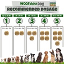 probiotics-for-dogs---digestive-health-g-5.jpg
