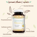 liposomal-vitamin-c-1400mg-capsules-immu-3.jpg