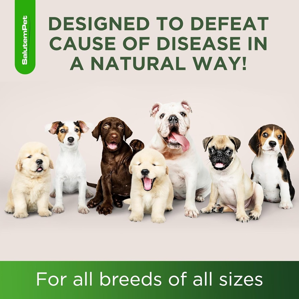natural-antibiotics-for-dogs-dog-antibio-6.jpg