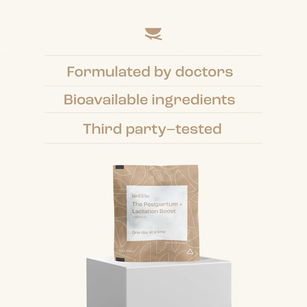 the-postpartum-with-lactation-boost---vi-6.jpg
