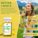 3-pack-9-in-1-mullein-gummies-for-lung-c-3.jpg