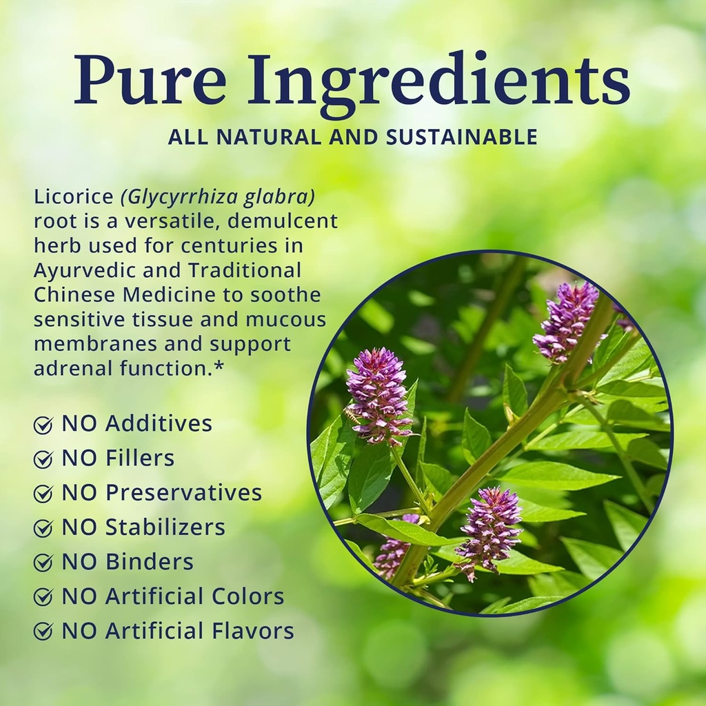 biopure-licorice-tincture-potent-botanic-3.jpg