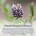 biopure-licorice-tincture-potent-botanic-5.jpg