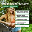 essential-elements-magnesium-zinc-with-v-6.jpg