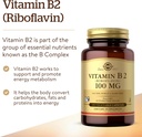 solgar-vitamin-b2-riboflavin-100mg-100-v-3.jpg
