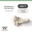 nad-500mg-95-pure-single-ingredient-60-c-71JDaVR4ZjL.jpg