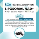 maripolio-liposomal-nad-1000-mg-suppleme-717E+CEfM4L.jpg