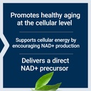 life-extension-nad-cell-support-nmn-ener-71Pi8OSY8CL.jpg