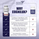 cognilux---brain-supplements-for-memory--5.jpg
