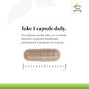 terry-naturally-adaptra---supplement-to--4.jpg