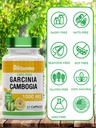 tnvitamins-garcinia-cambogia-extract-cap-4.jpg