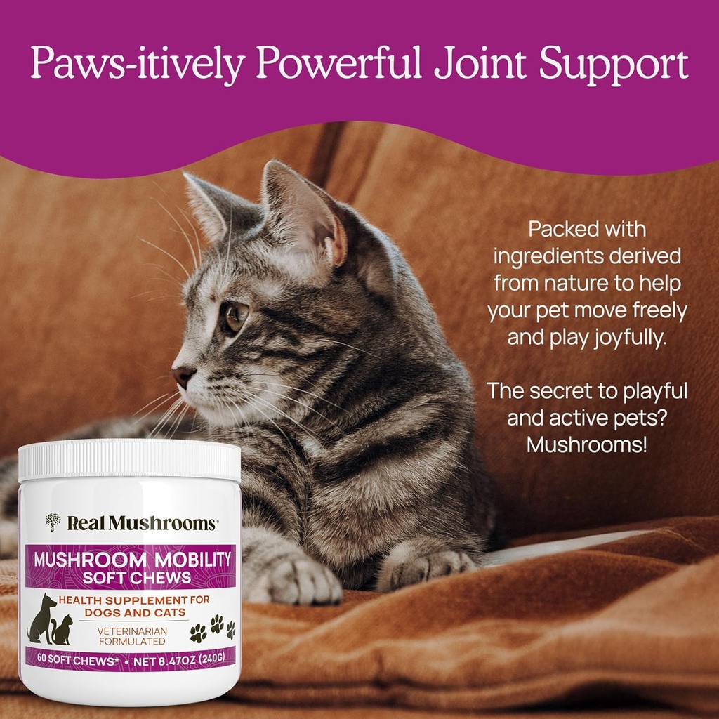 real-mushrooms-mobility-chews-for-dogs-c-5.jpg