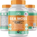 irish-sea-moss-3500mg-black-seed-oil-200-6.jpg