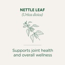 traditional-medicinals-organic-nettle-le-3.jpg