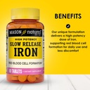 mason-natural-slowrelease-iron-ferrous-s-2.jpg