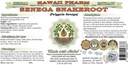 senega-snakeroot-alcohol-free-liquid-ext-2.jpg