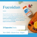 doctors-best-fucoidan-70-non-gmo-vegan-g-5.jpg
