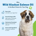 pet-wellbeing-wild-alaskan-salmon-oil-fo-5.jpg