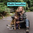 embark-dog-multibenefit-all-in-1-supplem-3.jpg
