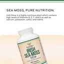 irish-sea-moss-capsules-more-potent-than-4.jpg