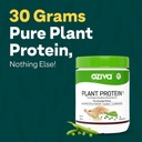 oziva-organic-plant-protein-powder-500-g-2.jpg