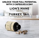 lions-mane-supplement-capsules-with-turk-2.jpg